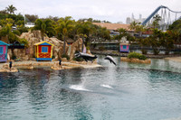 IMG_1729