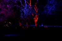 Vivid Sydney 2017