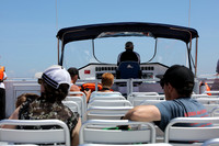 #Forster #lovethegreatlakes #AmarooCruises #whalewatching @Amaroo Cruises