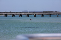 #Forster #lovethegreatlakes #AmarooCruises #whalewatching @Amaroo Cruises