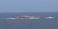 #SealRocks #lovethegreatlakes