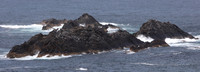 #SealRocks #lovethegreatlakes