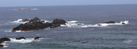#SealRocks #lovethegreatlakes